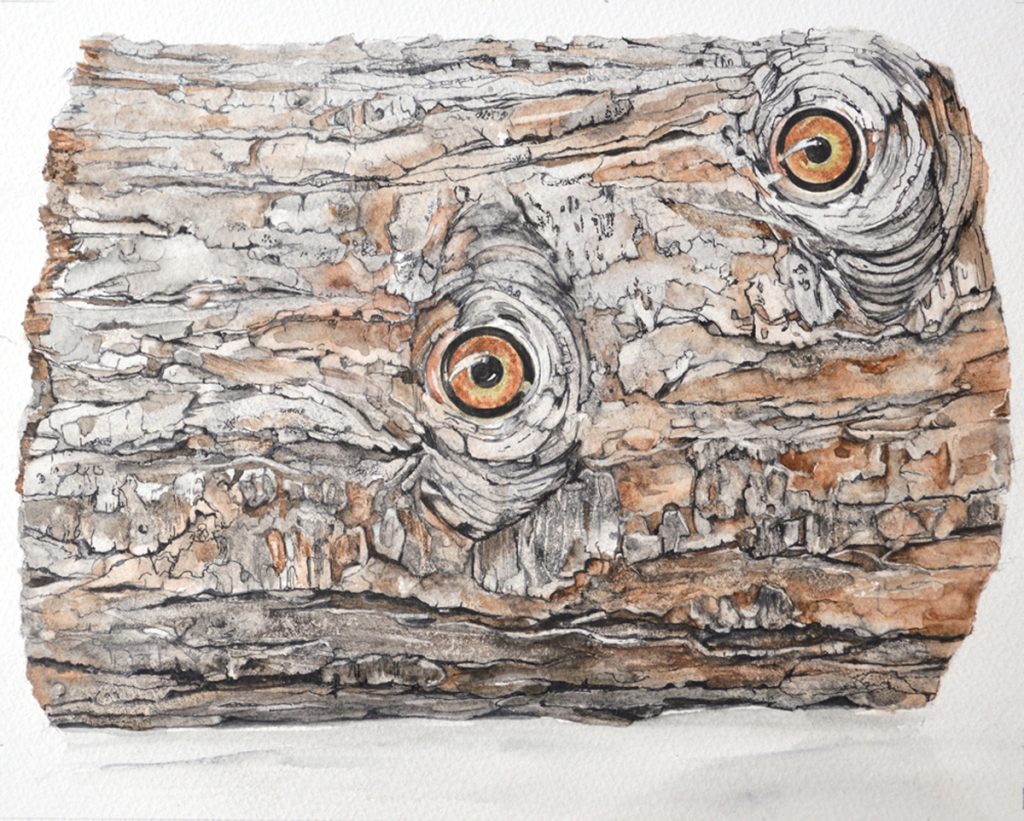 Living wood, Burrowing Owl